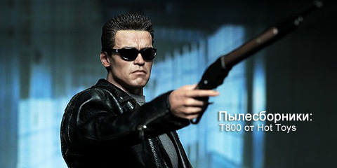   : 800  Hot Toys