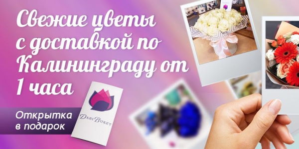 ������ ������ ������ ������ ����� � ��������� � ������������ � �������