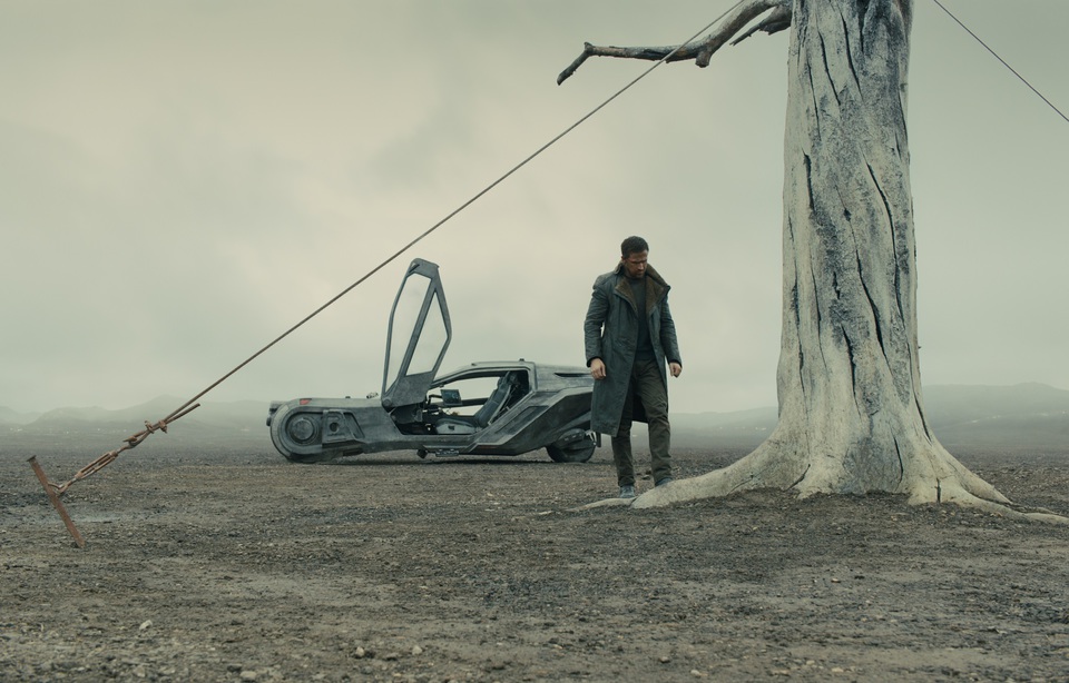 кадры из фильма Бегущий по лезвию 2049 кадры из фильма Бегущий по лезвию 2049