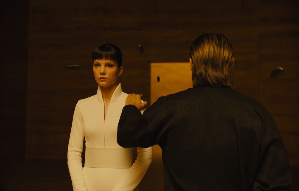 кадры из фильма Бегущий по лезвию 2049 кадры из фильма Бегущий по лезвию 2049