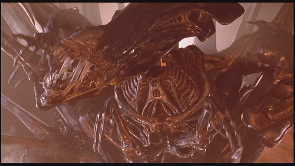 DVD Alien Quadrilogy BD 