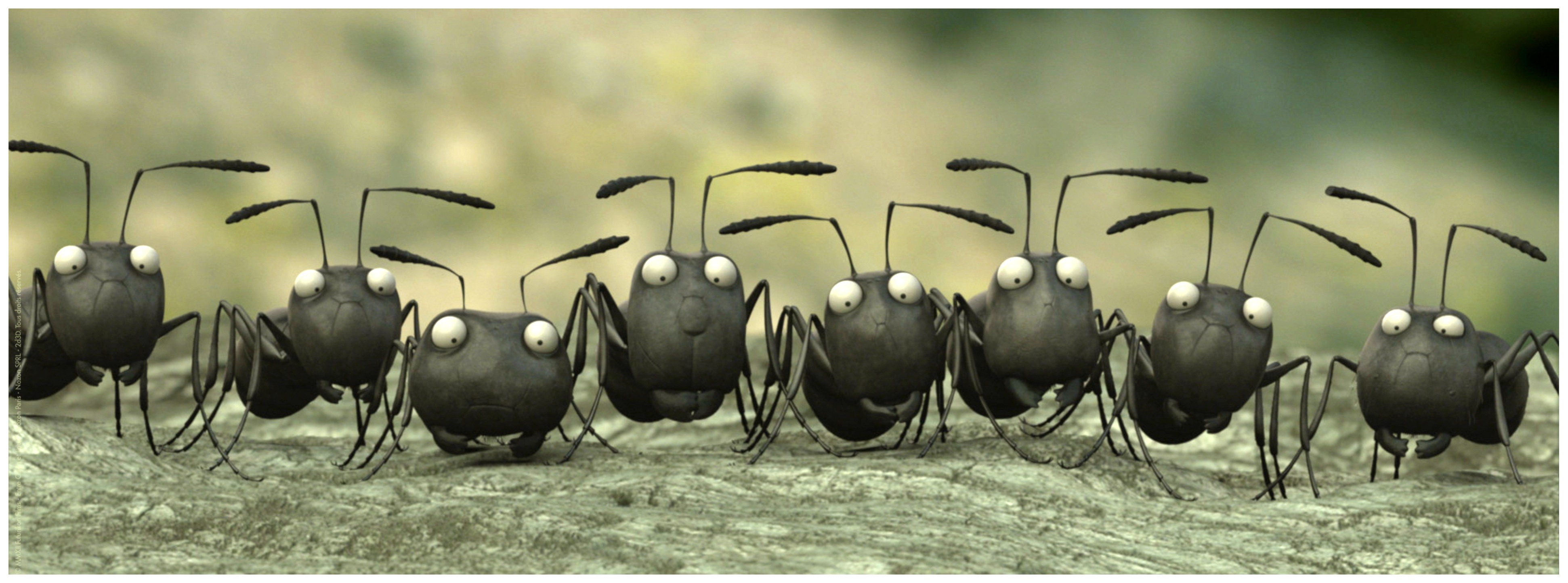 Букашки муравьи