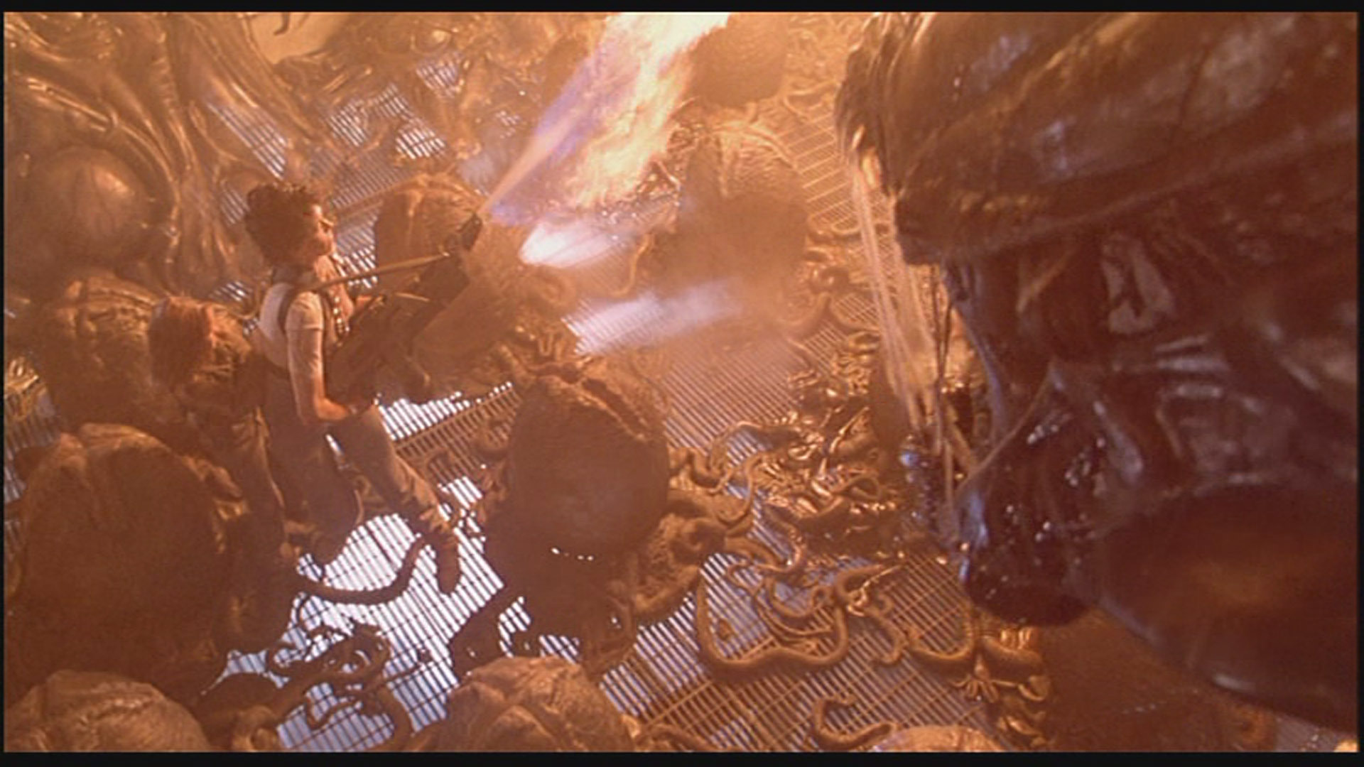 DVD Alien Quadrilogy BD 