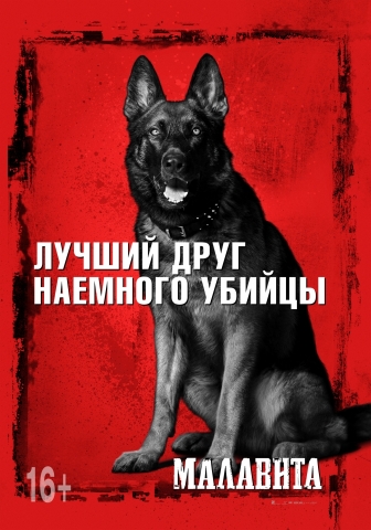 постеры постеры