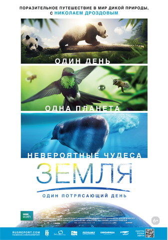 постеры постеры