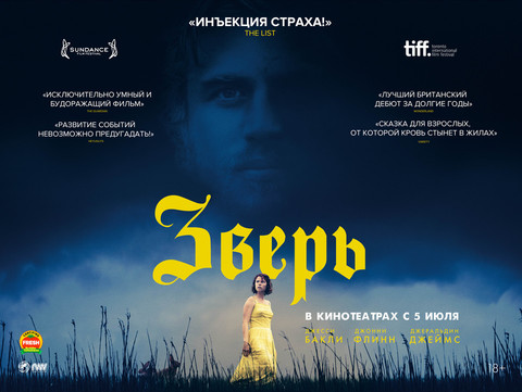 постеры постеры