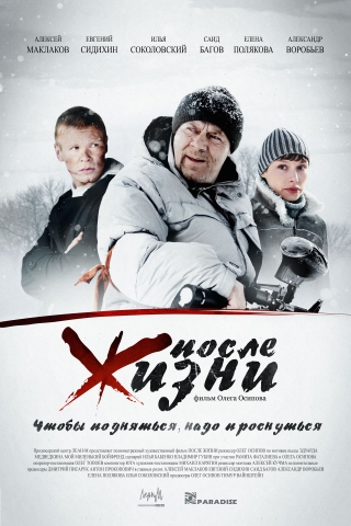 постеры постеры