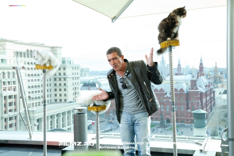 �������� ������ ���� � �������� � ������ 