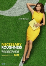    Necessary Roughness 2011-