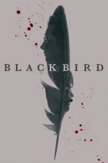  ׸  Black Bird 2022