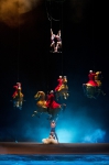  142995   Cirque du Soleil:  