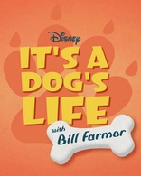 ��� ������� �����