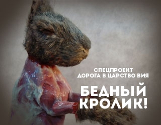 омид абтахи личная жизнь. Смотреть фото омид абтахи личная жизнь. Смотреть картинку омид абтахи личная жизнь. Картинка про омид абтахи личная жизнь. Фото омид абтахи личная жизнь