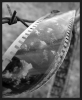 cinemaworm cinemaworm
