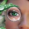 Фотограф снов Фотограф снов