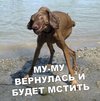 Му?Му! Му?Му!