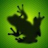 BountyFrog BountyFrog