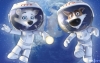 belka-strelka belka-strelka