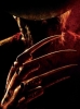 Freddy Freddy