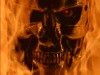 Nik T-800 Nik T-800