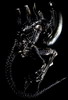 aliennaire aliennaire