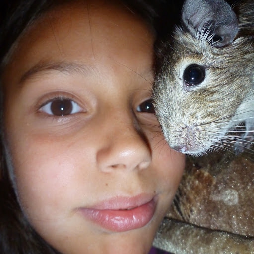 ellina muttonen ellina muttonen