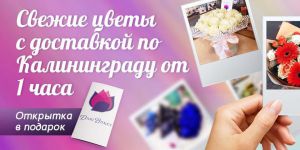 Купить свежие цветы с доставкой в Калининграде и области