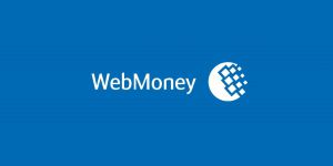 Какие требования к заемщикам для получения кредита Webmoney онлайн