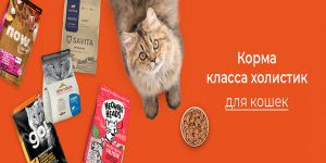 Холистик корм для кошек от интернет-магазина Petshop.ru
