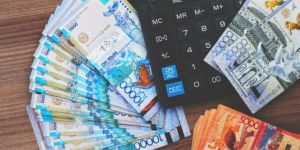 Анализ заявки заемщика: Что именно роботы исследуют?