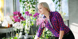 Как собрать букет на 8 Марта: от классических роз до экзотических орхидей – лучшие советы флориста