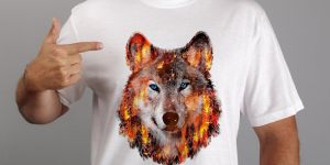 Где сделать печать на футболках