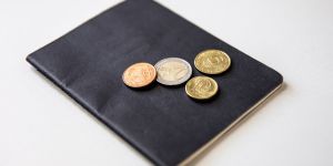 Монеты Банка России: серия «Красная книга»