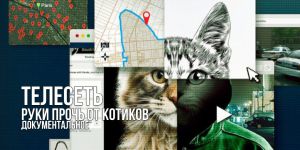 Рецензия на документальный сериал «Руки прочь от котиков! Охота на интернет-убийцу»: триумф саспенса и этическая пропасть