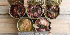 Анализ рынка мясных консервов в России: тенденции и перспективы 2025 года