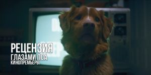 Рецензия на фильм «Глазами пса»: экспериментальный хоррор через призму того, кто видит, боится, но не может сказать