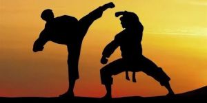 Как боевые искусства помогают снять стресс: выбор направления для новичков