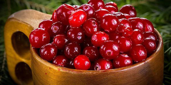 Клюквенные настойки: лучшие рецепты