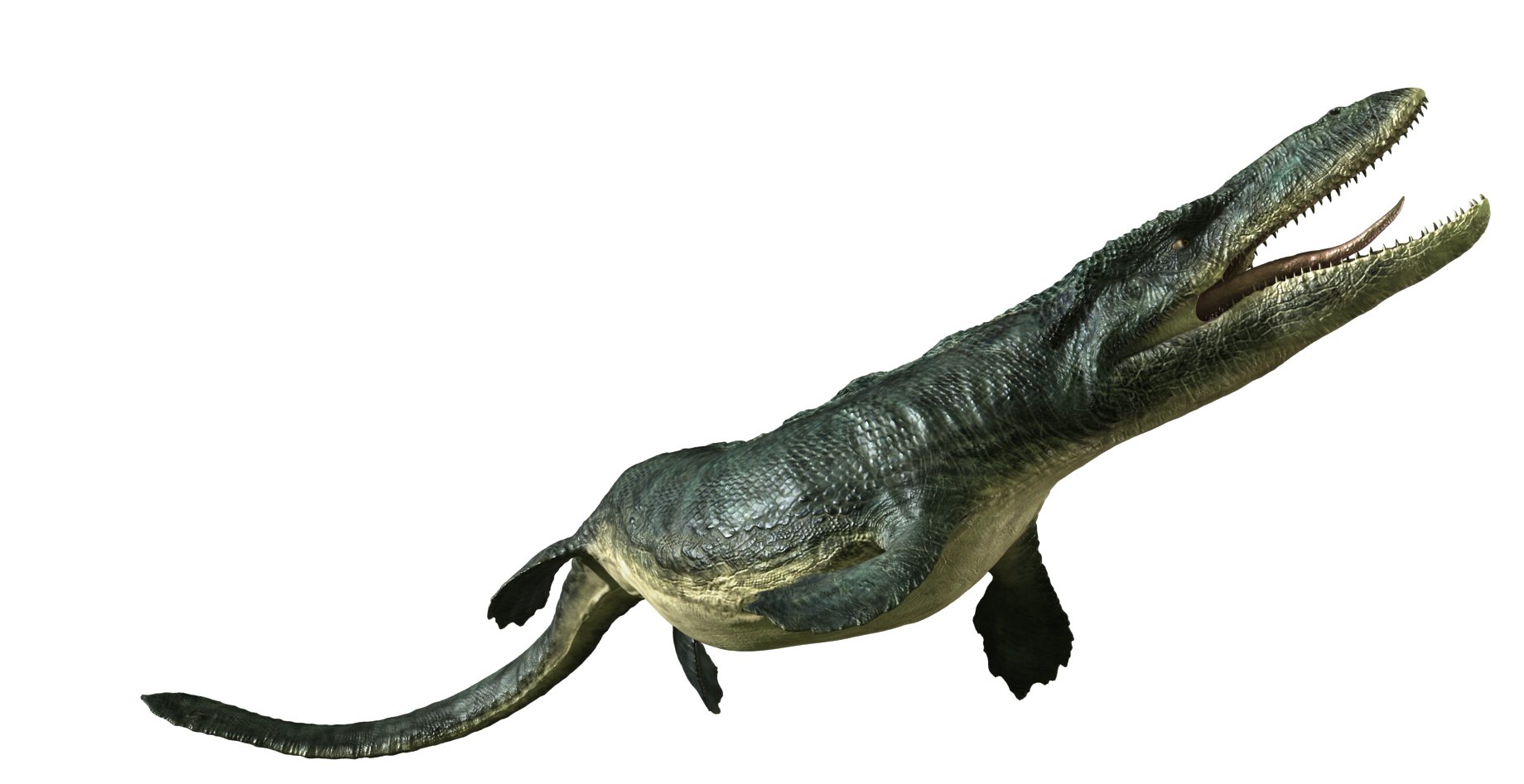тарбозавр вики фэндом фото 72