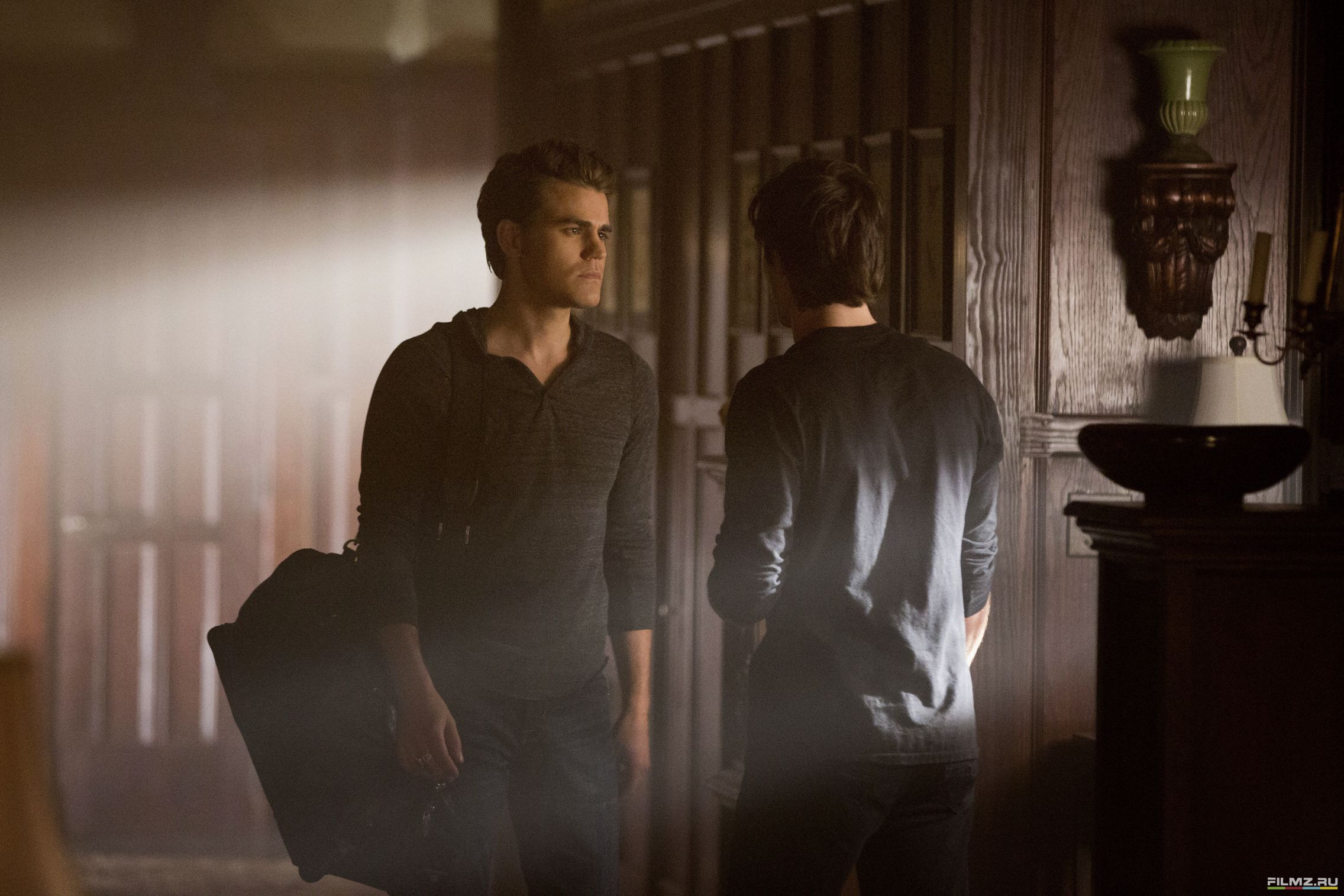 Дневник вампира 4 описание. Damon and Stefan Salvatore.