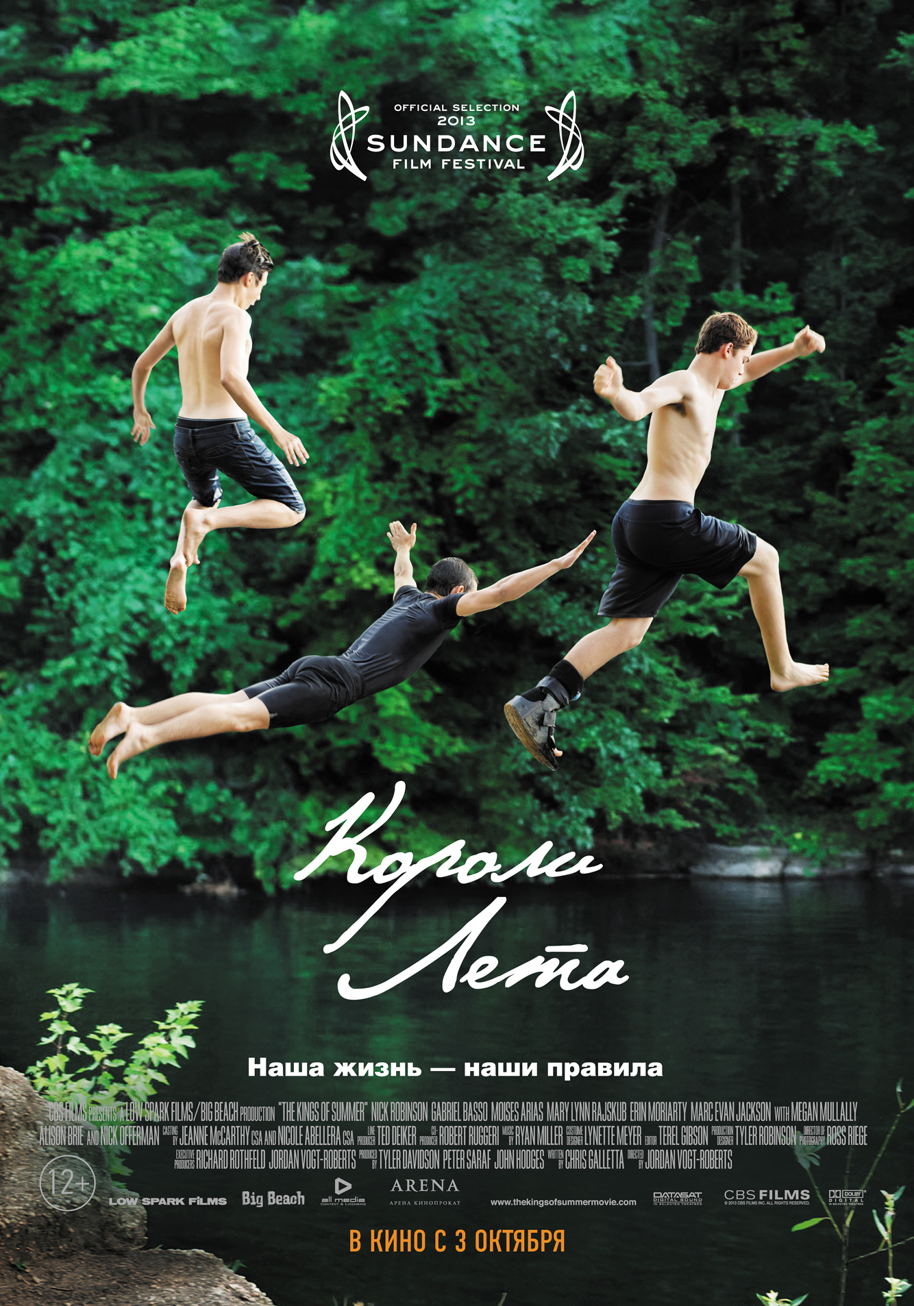 Лета 2013. Короли лета (2013). Короли лета фильм 2013. Короли лета Аарон. Уильям Сонни короли лета.