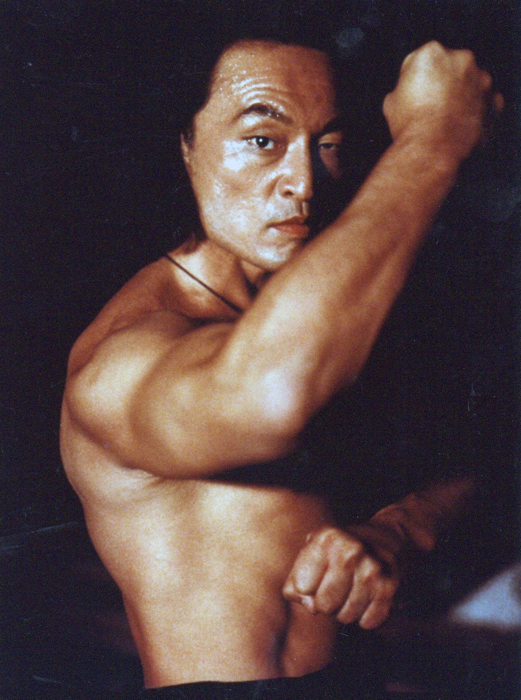 Шан Цунг Кэри-Хироюки Тагава 1995