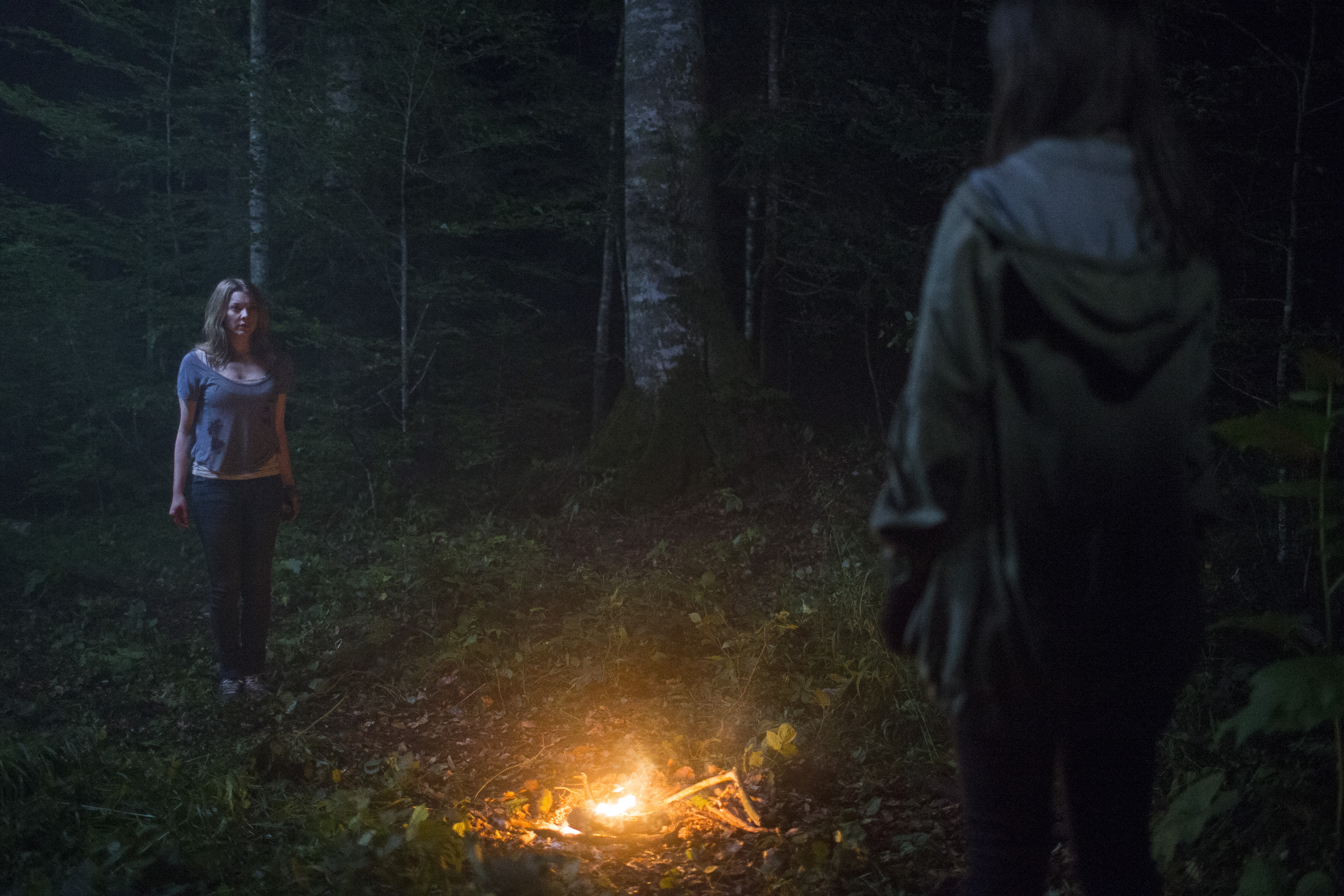 Лагерь ночь ужасов. Натали Дормер лес призраков. Лес призраков (2015). Лес призраков / the Forest (2016) / ужасы.