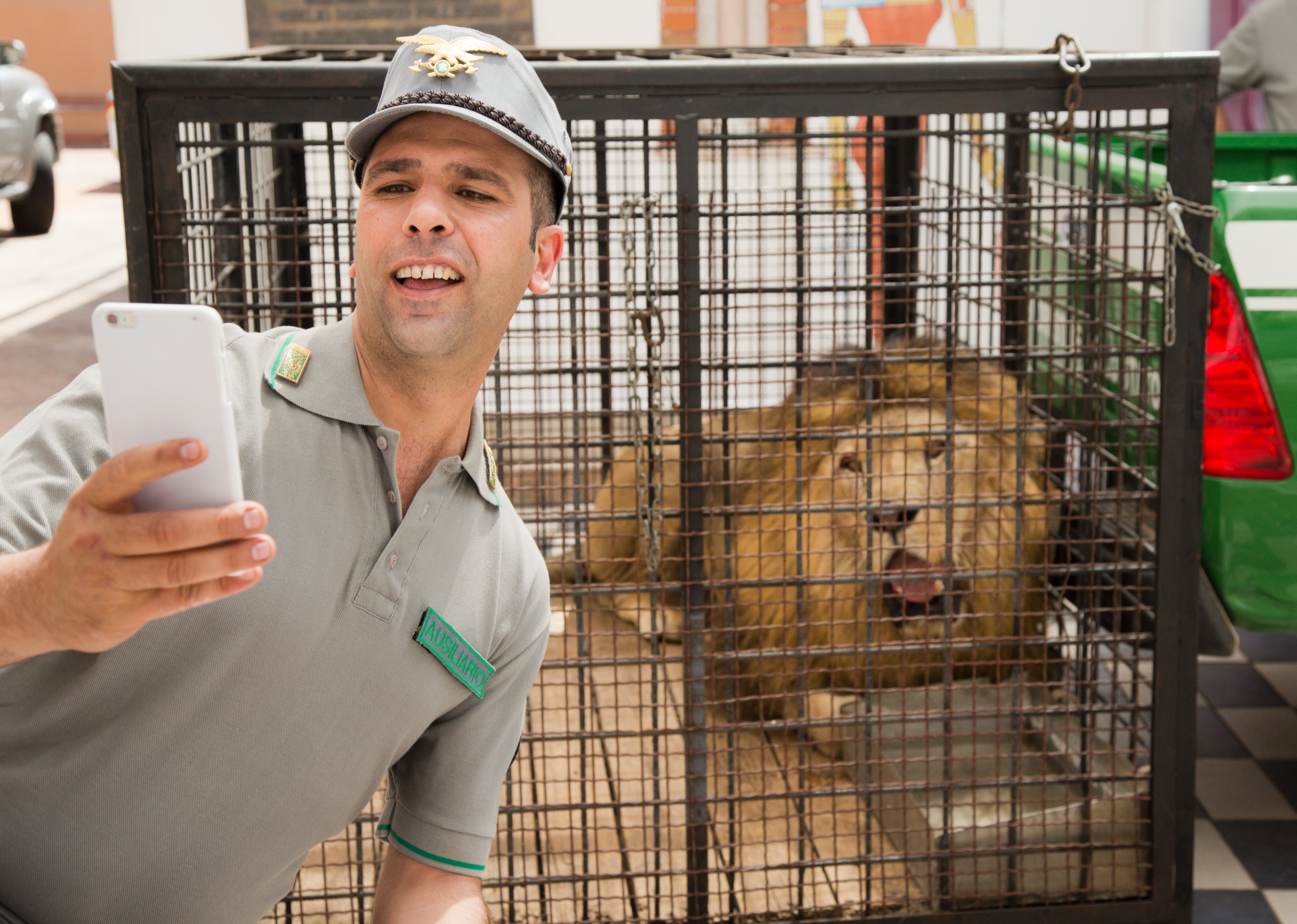 к черту на рога / quo vado? / 2016. к черту на рога / quo vado? / 2016. к черту на рога постер. к черту на рога / quo vado? / 2016. к черту на рога 2016.