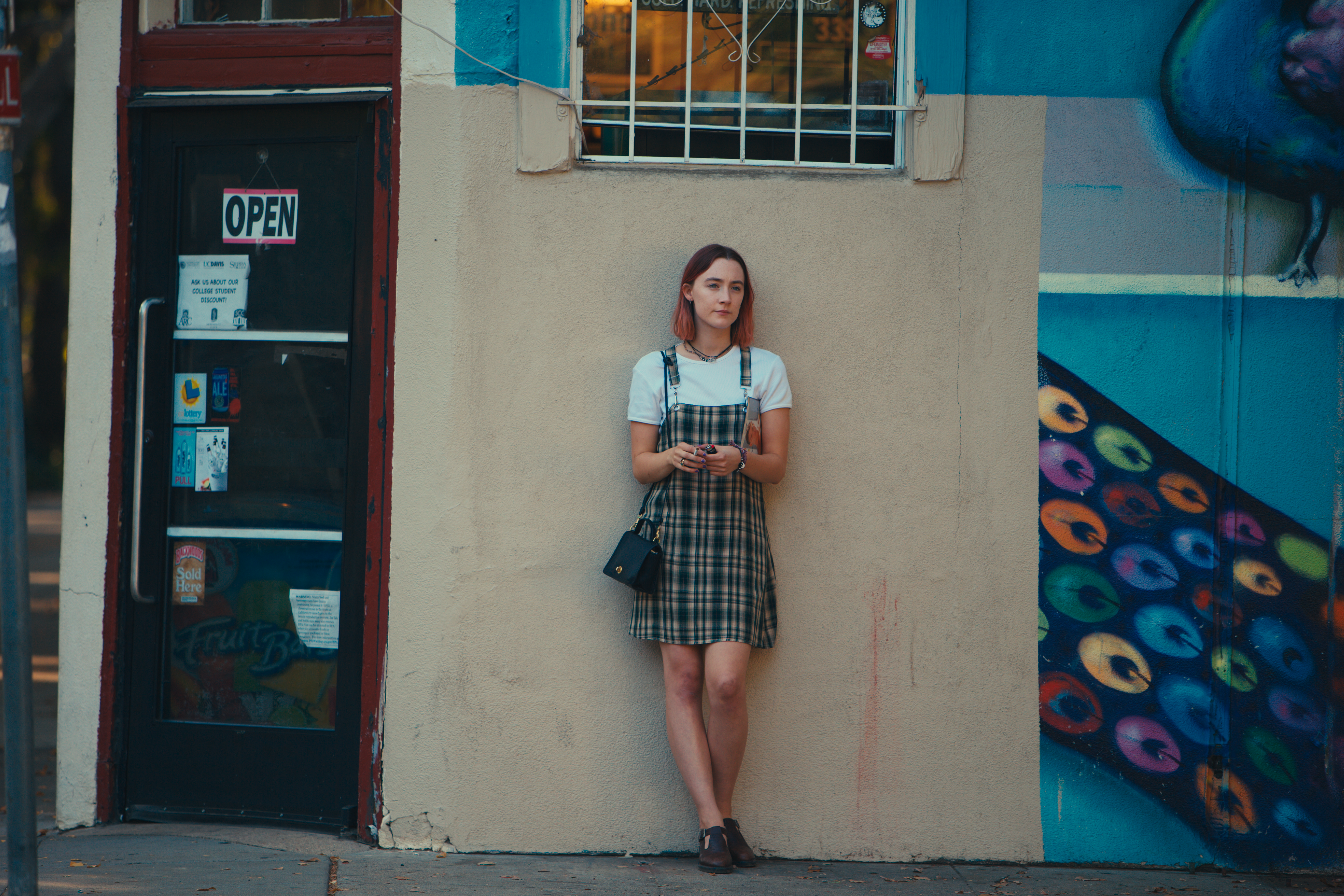 Lady bird. Сирша Ронан леди Берд. Lady Bird фильм. Грета Гервиг леди Берд. Леди бёрд (2017).