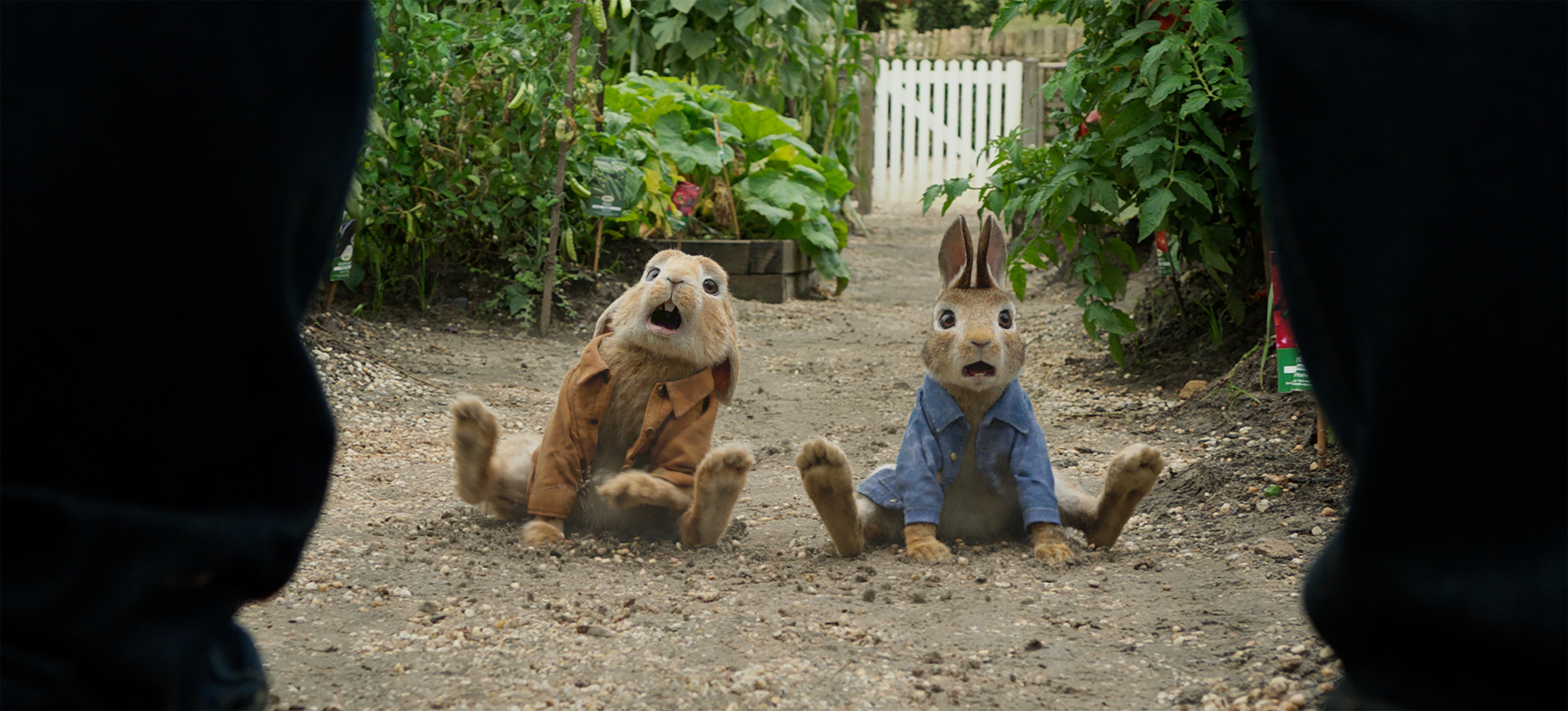 Rabbit movie