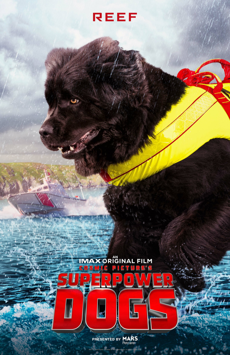 «Суперсобаки» (Superpower Dogs, 2019)