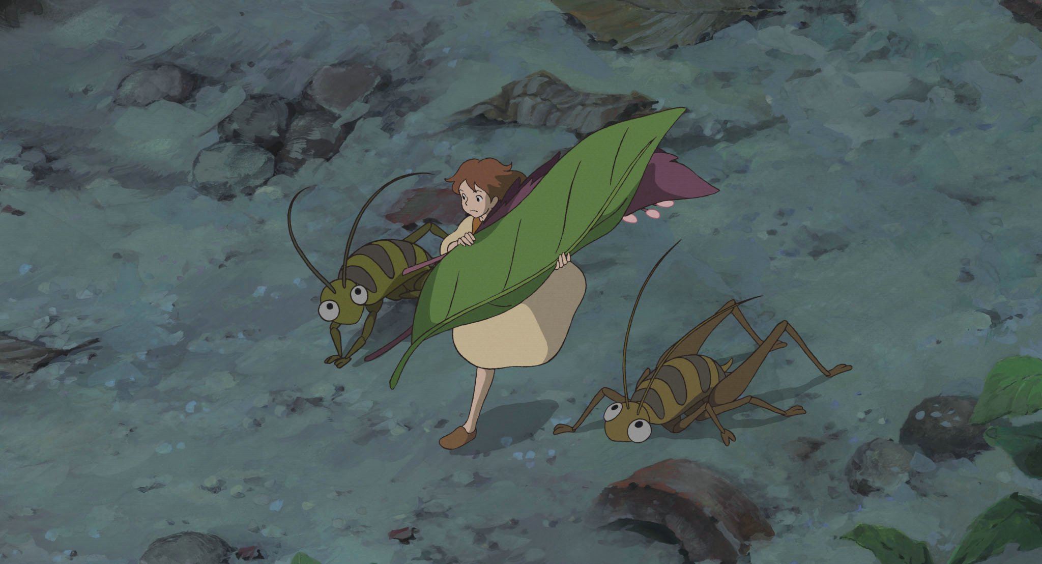 The secret world of arrietty. Ариэтти из страны лилипутов 2010. Добывайки Миядзаки. Добывайка Ариэтти. Хаяо Миядзаки Ариэтти из страны лилипутов.