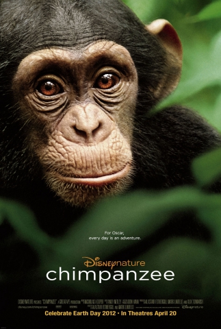 Шимпанзе*