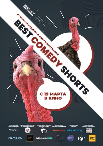 Best Comedy Shorts